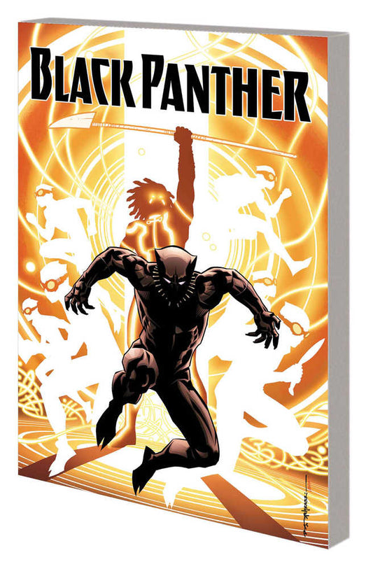Black Panther TPB Book 02 Nation Under Our Feet (NM)