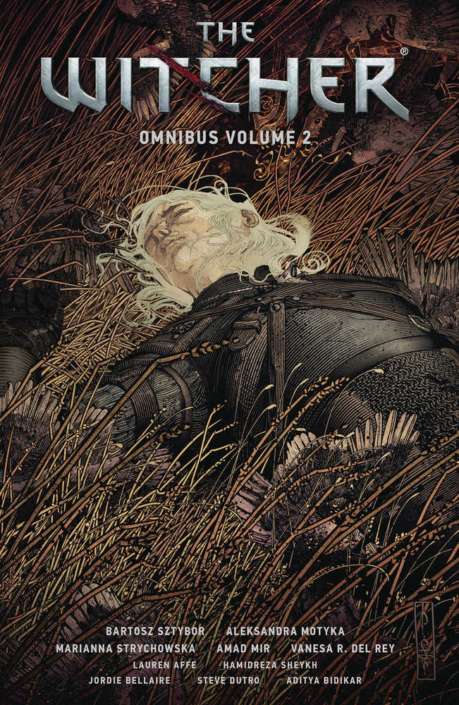 Witcher Omnibus TPB Volume 02 (NM)