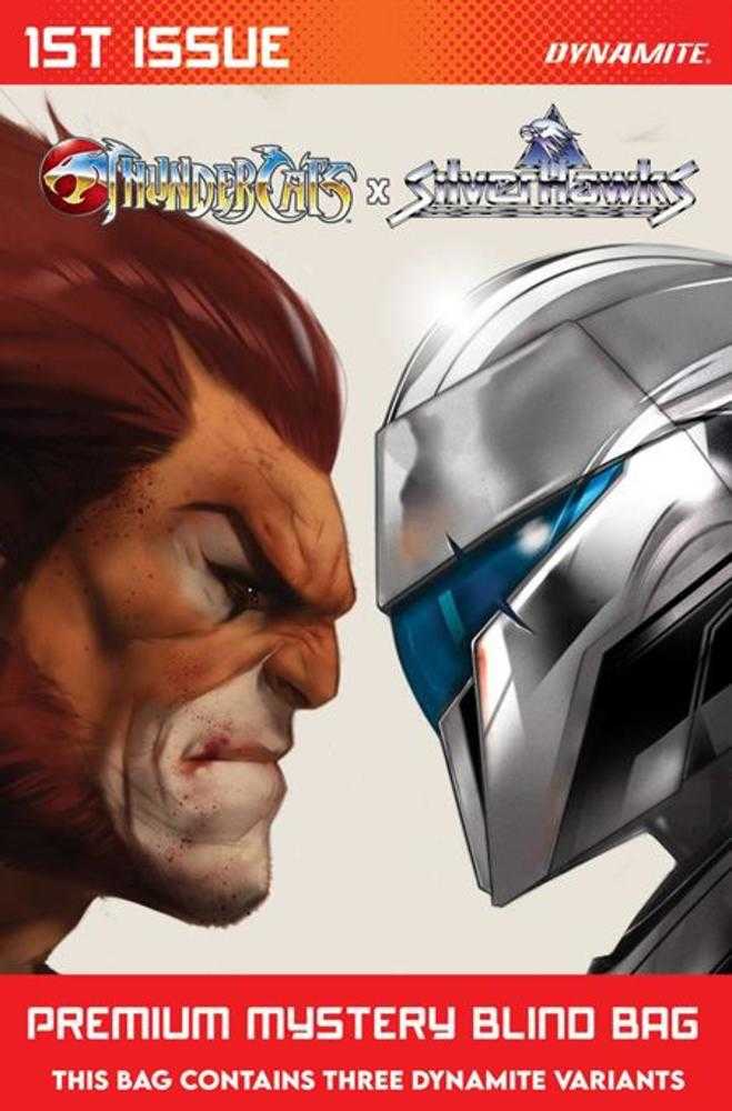 Thundercats X Silverhawks #1 Cover S Premium Blind Bag Variant (NM)