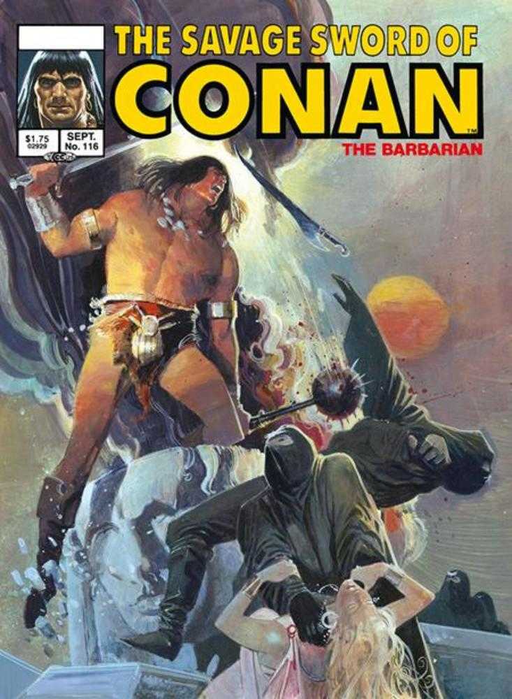 Savage Sword Of Conan Original Comics Omnibus Volume 08 Direct Market Edition Bill Sienkiewicz Cover (Mature) (NM)