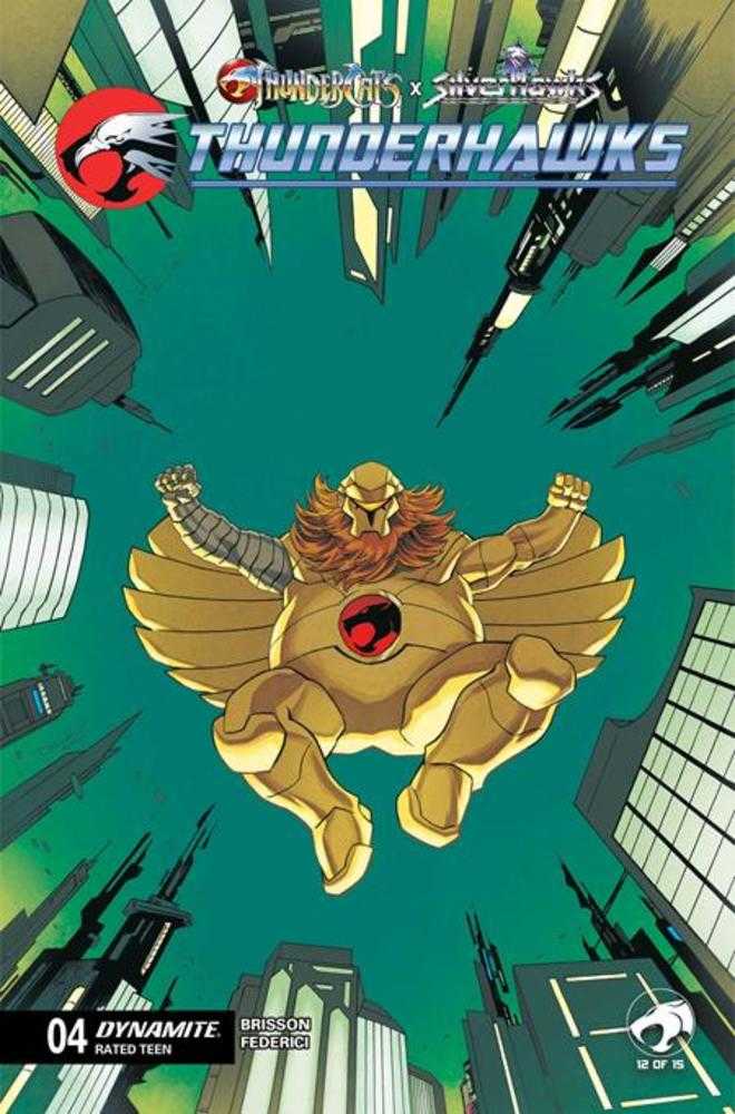 Thundercats X Silverhawks Thunderhawks #4 Cover B Declan Shalvey Variant (NM)