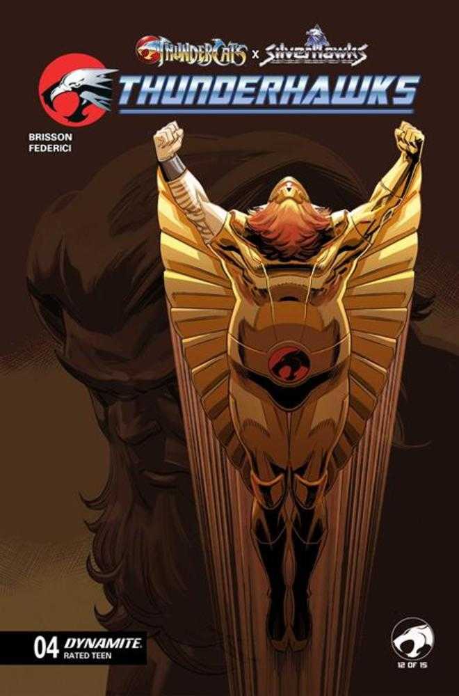 Thundercats X Silverhawks Thunderhawks #4 Cover C Marco Failla Variant (NM)