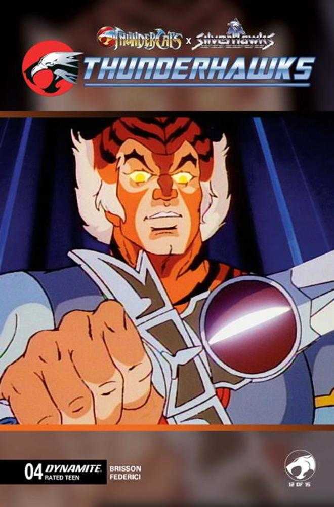 Thundercats X Silverhawks Thunderhawks #4 Cover E Animation Art Variant (NM)