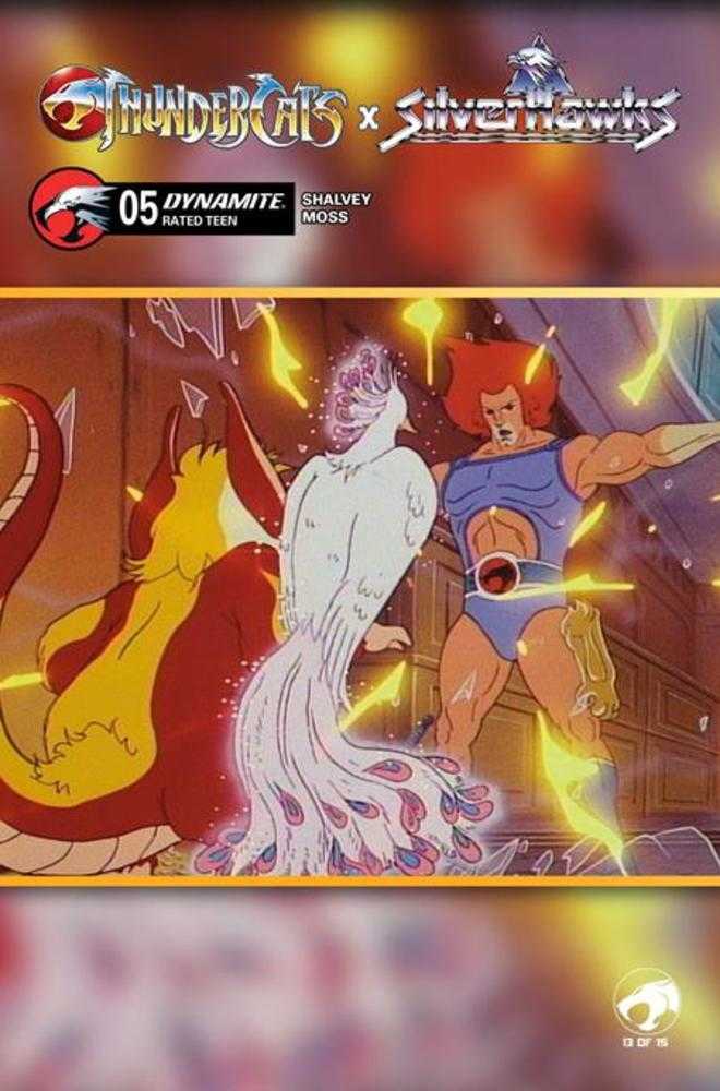 Thundercats X Silverhawks #5 Cover E Animation Art Variant (NM)
