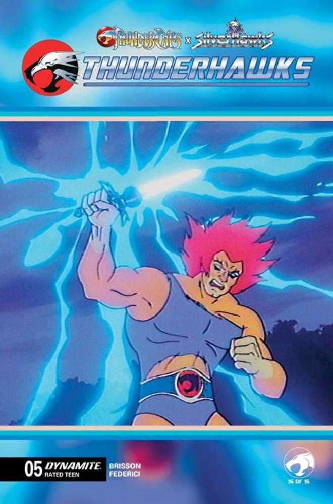 Thundercats X Silverhawks Thunderhawks #5 Cover E Animation Art Variant (NM)