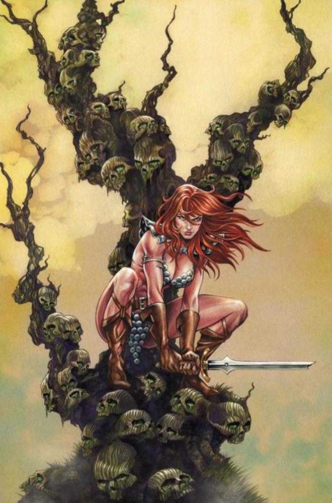 Red Sonja She Devil With A Sword #5 Cover I 1:10 Mike Rooth Full Art Variant (NM)