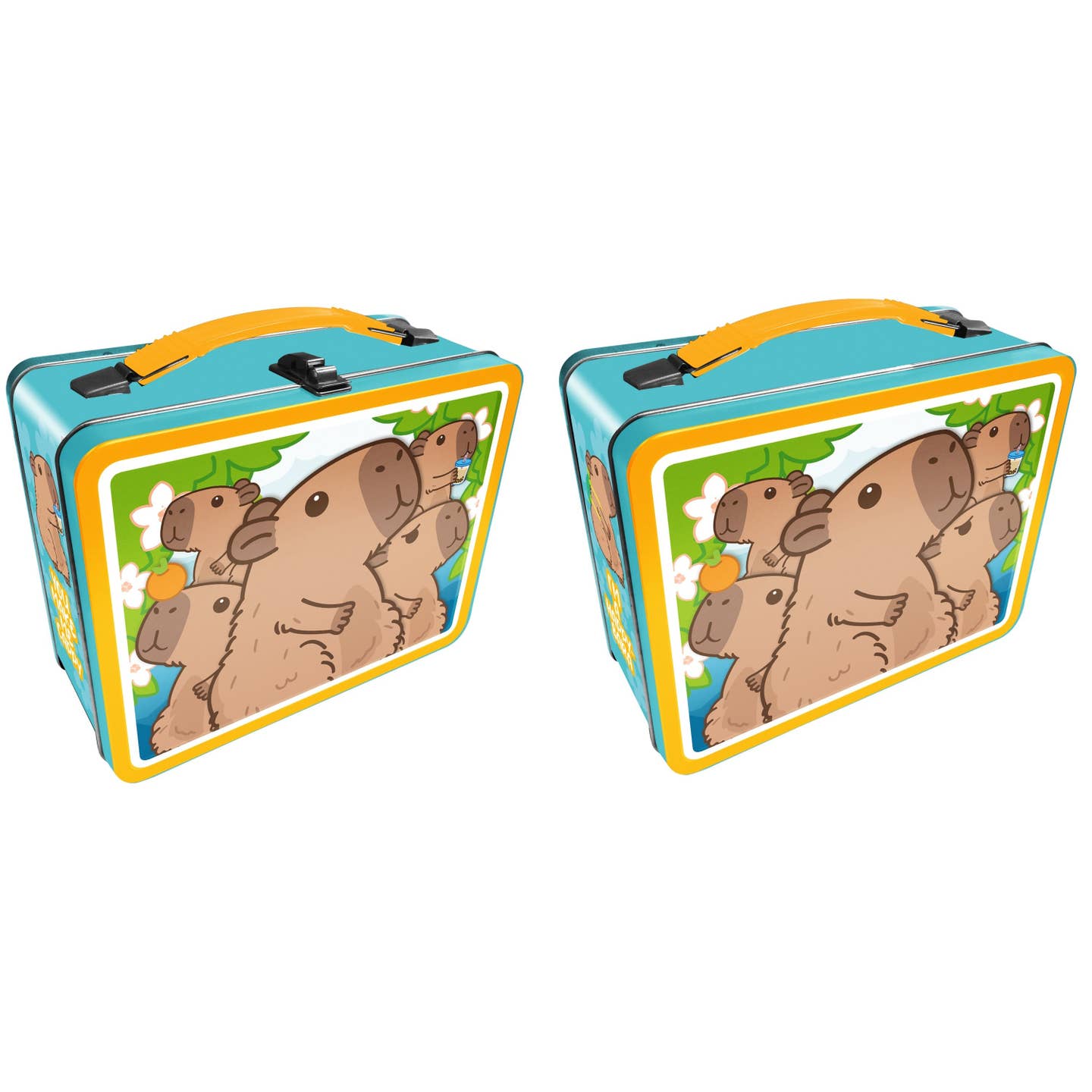 Capybara Fun Box