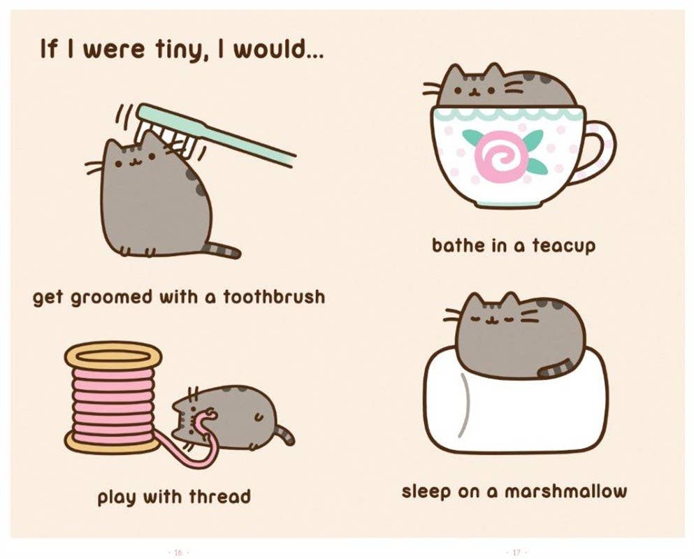 I Am Pusheen the Cat by Claire Belton (NM)