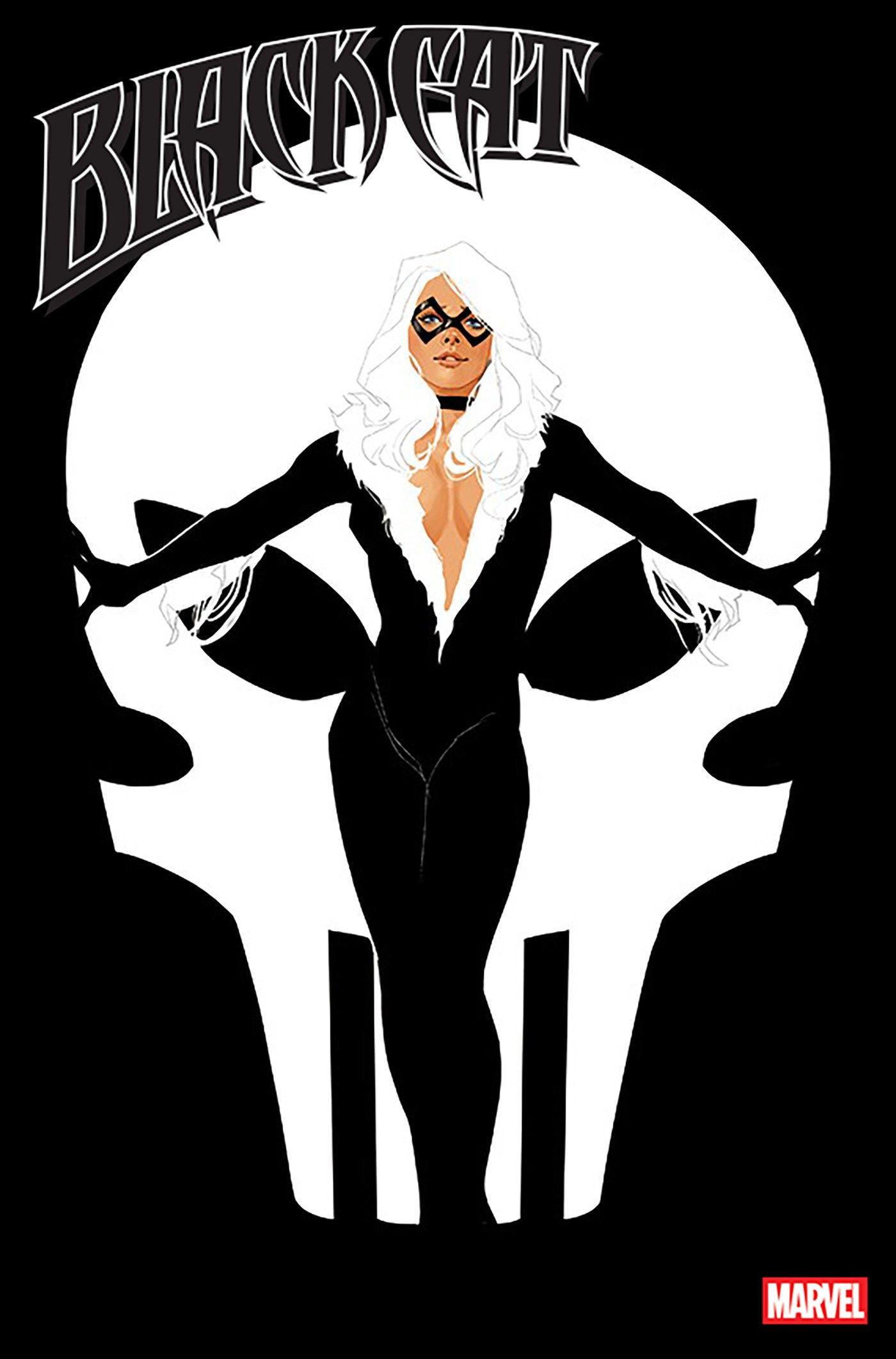 Black Cat #11 Phil Noto Variant (NM)