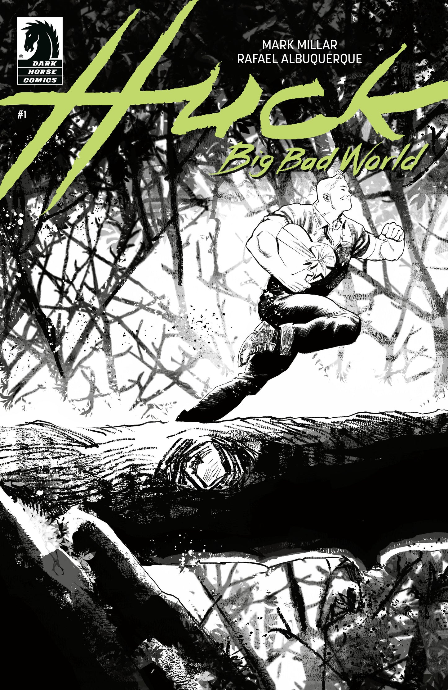 Huck: Big Bad World #1 (Cover B) (Black & White) (Rafael Albuquerque) (NM)