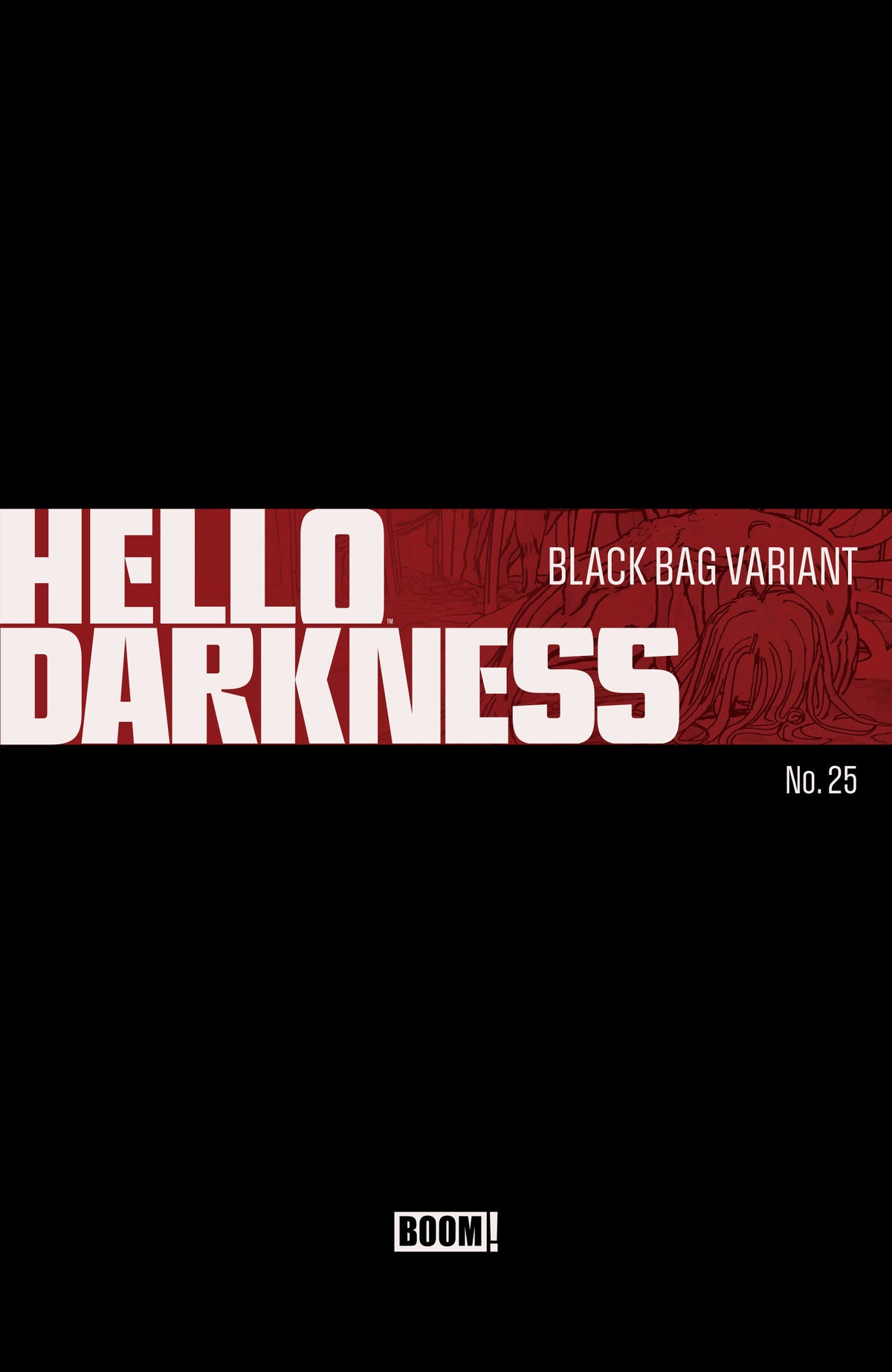 Hello Darkness #25 D Black Bag Variant (Dressed, Hixson) (NM)