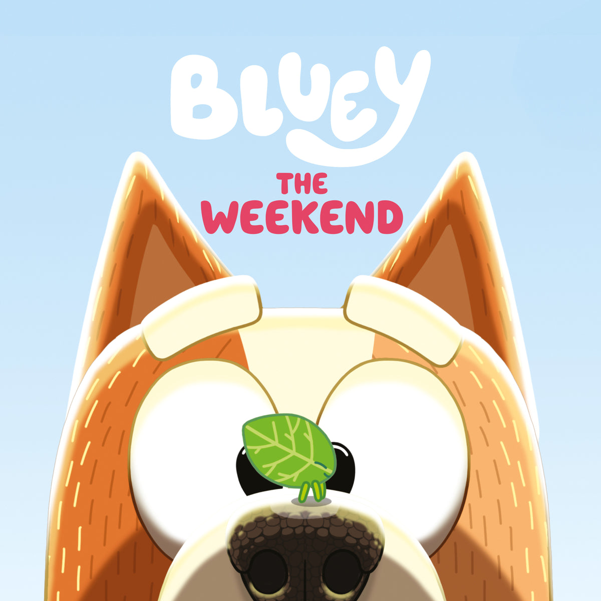 Bluey: The Weekend (NM)