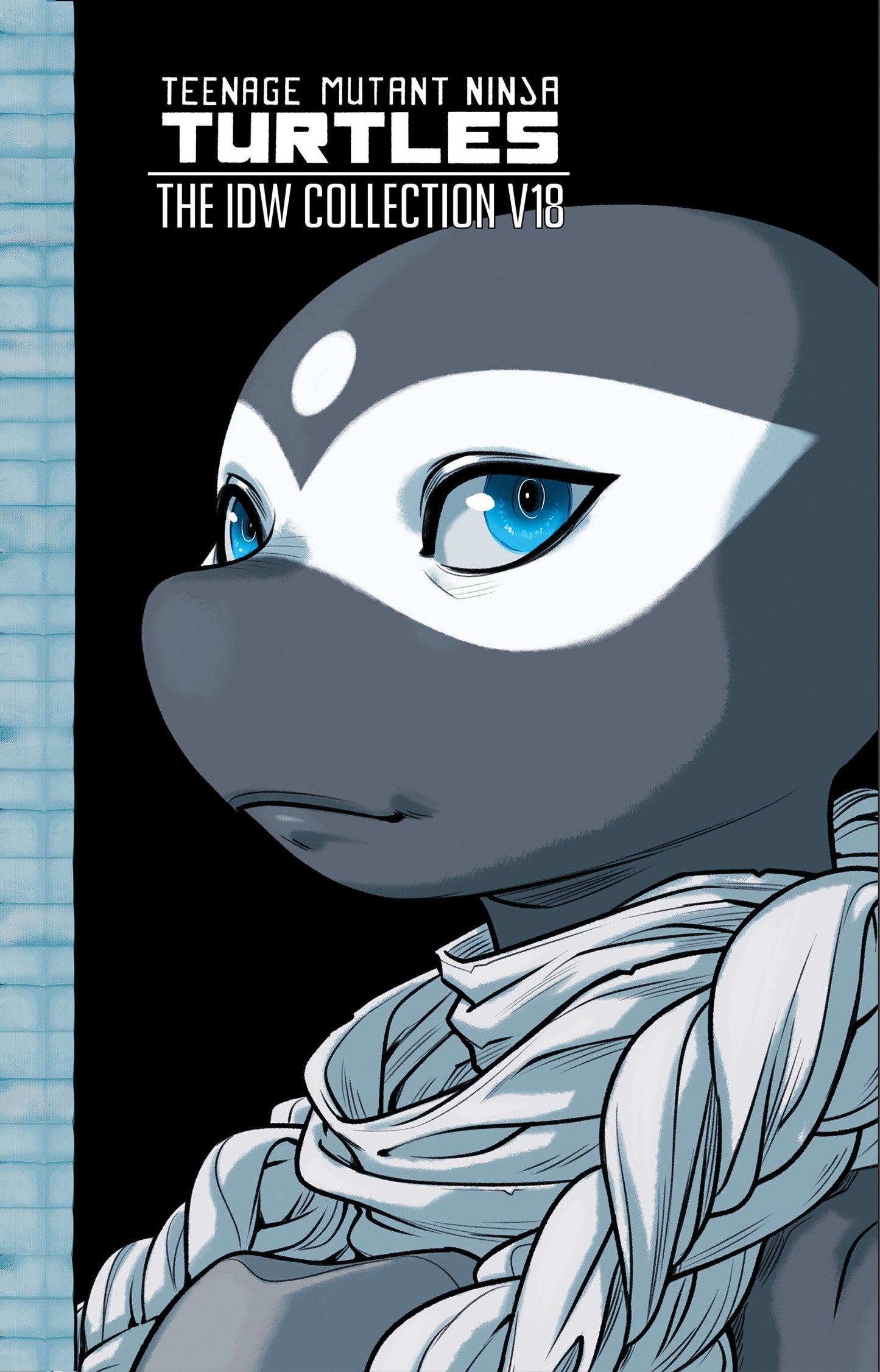 Teenage Mutant Ninja Turtles: The Idw Collection, Volume 18 (NM)