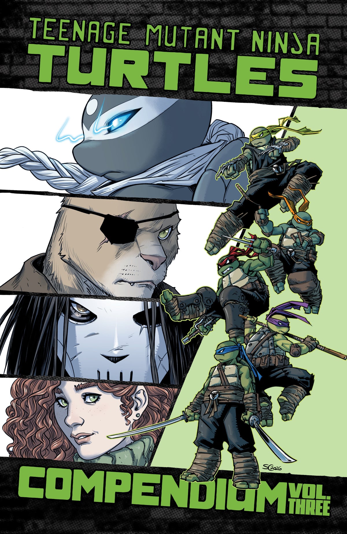 Teenage Mutant Ninja Turtles: Ongoing Compendium, Volume. 3 (NM)