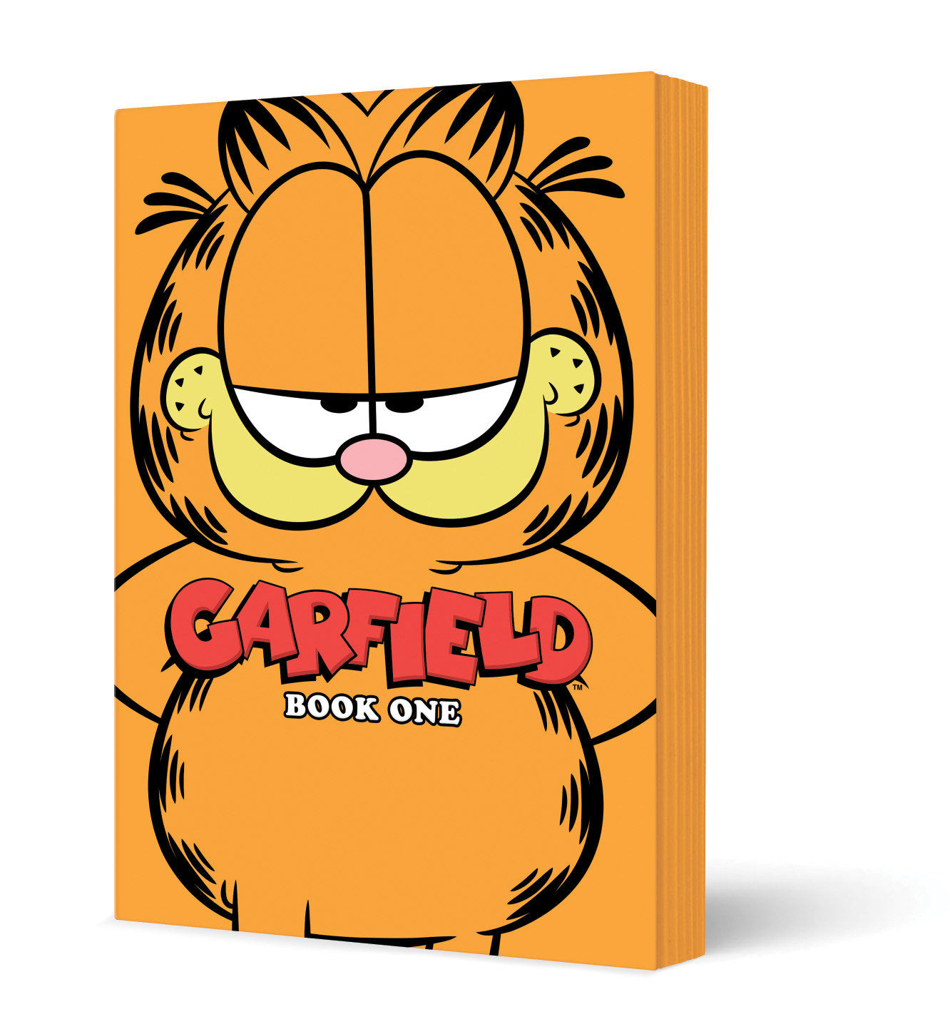 Garfield Book One (NM)