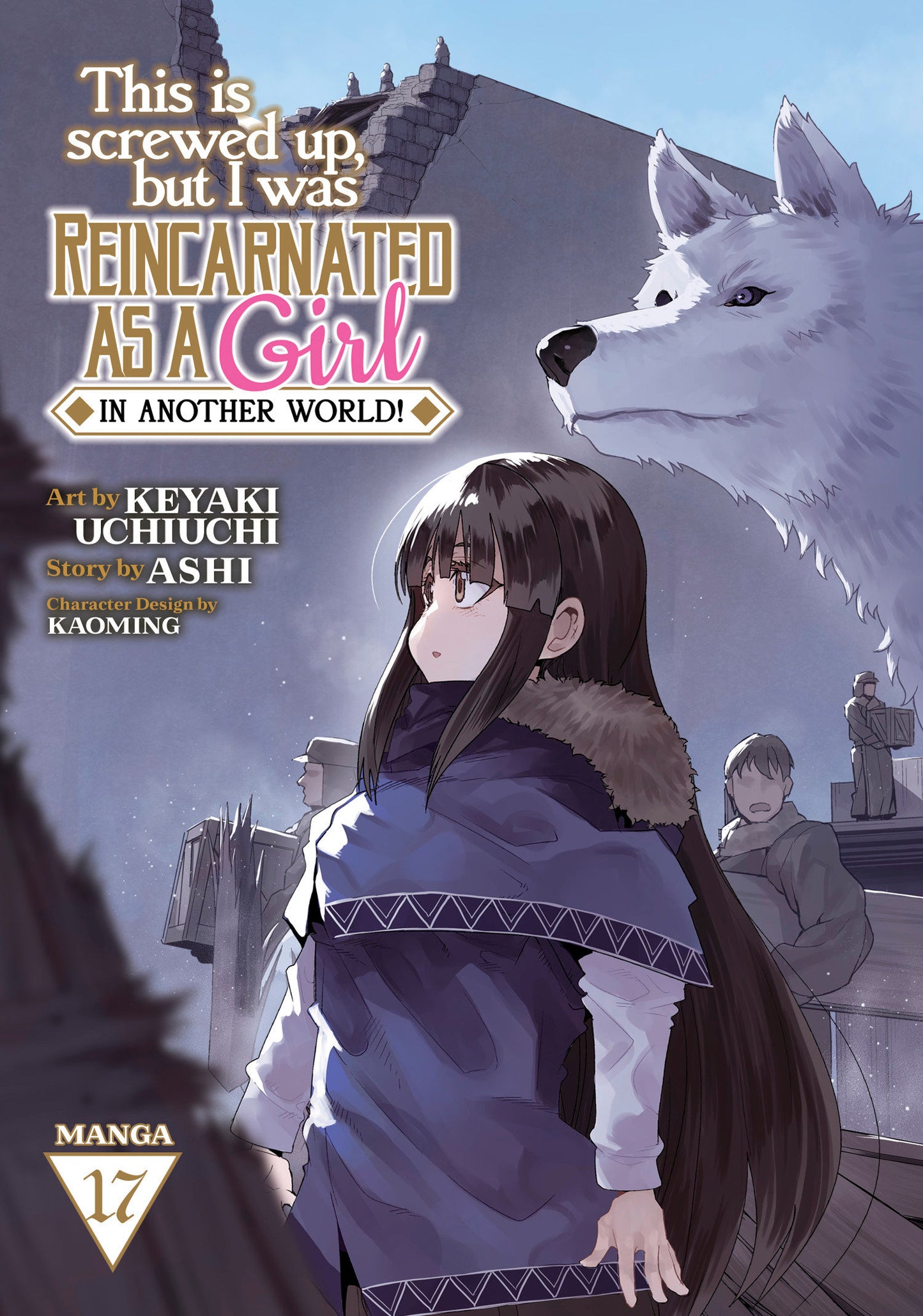 This Is Screwed Up, But I Was Reincarnated As A Girl In Another World! Vol. 17 (NM)