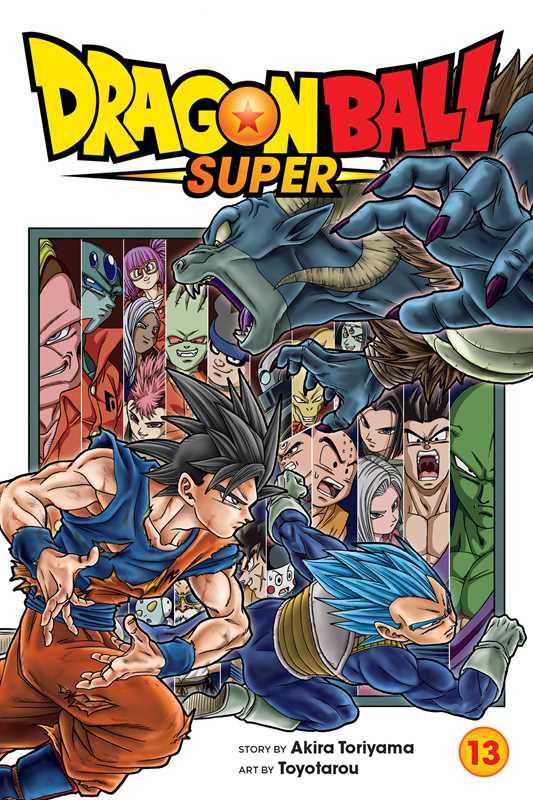 Dragon Ball Super, Vol. 13 by Akira Toriyama (NM)