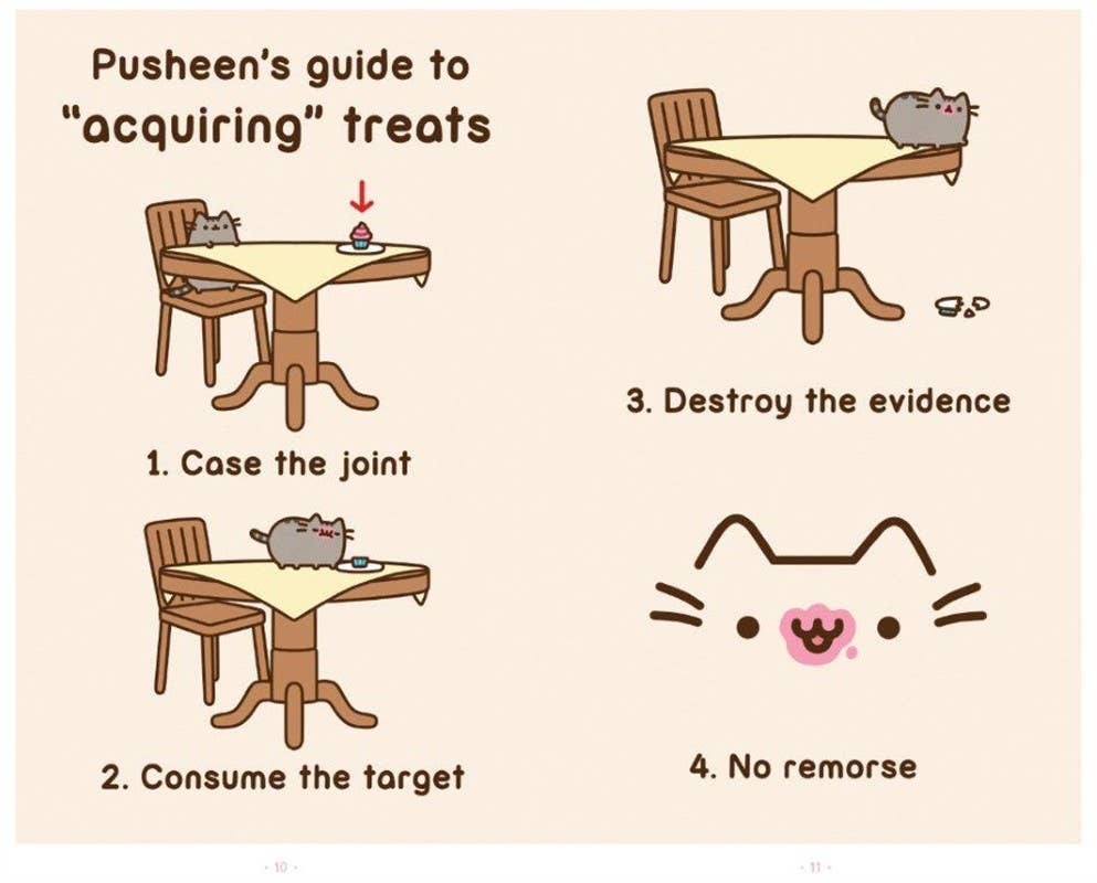 I Am Pusheen the Cat by Claire Belton (NM)