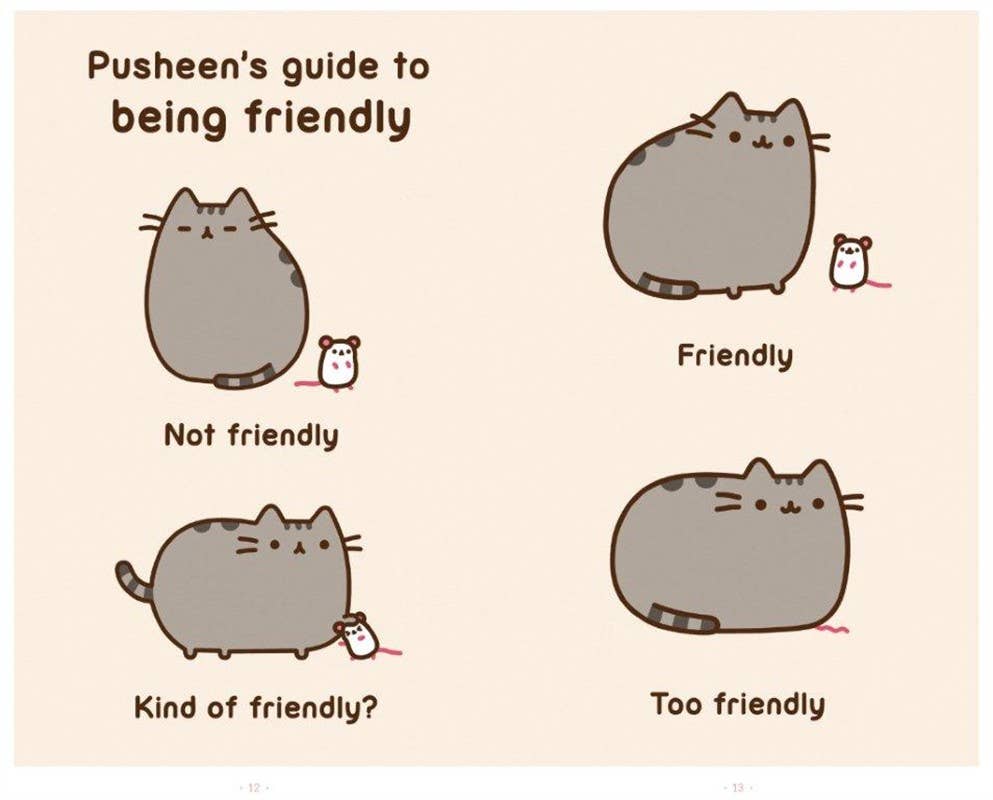 I Am Pusheen the Cat by Claire Belton (NM)