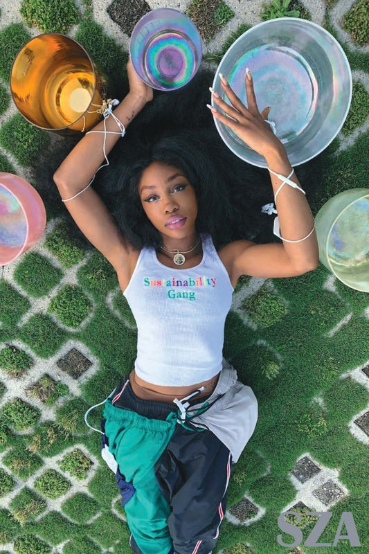 SZA - Sustainable Poster