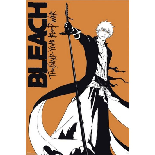 Bleach Ichigo Poster (Not Available for Shipping)
