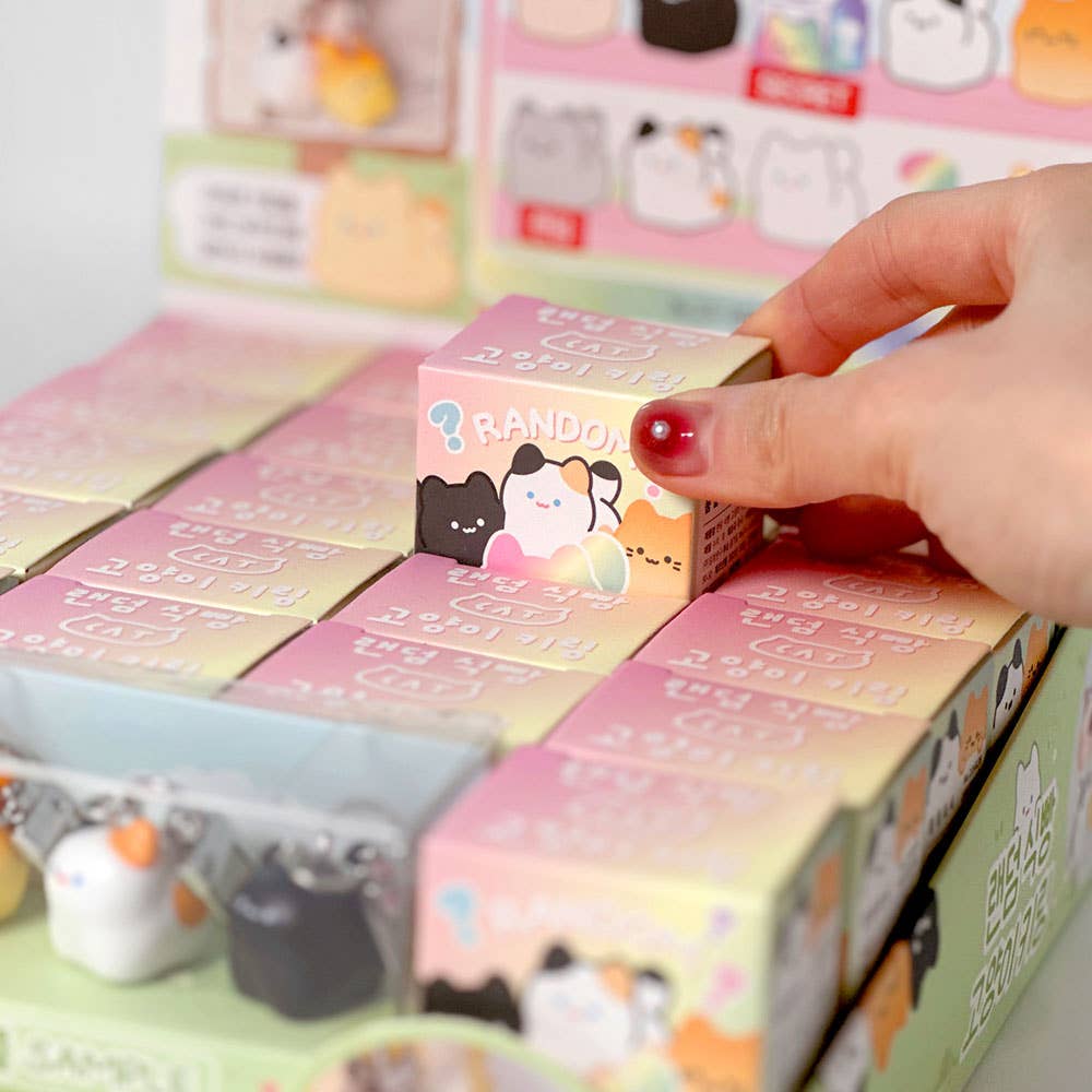 Kawaii Bread Cat Keychain – Mystery Blind Box (1 Box)