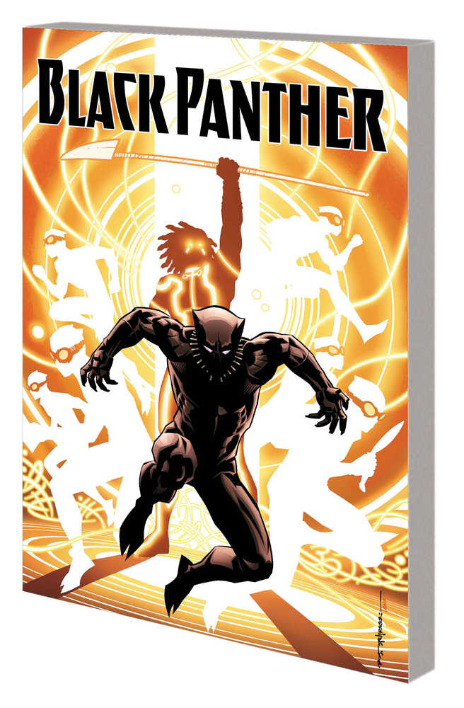 Black Panther TPB Book 02 Nation Under Our Feet (NM)