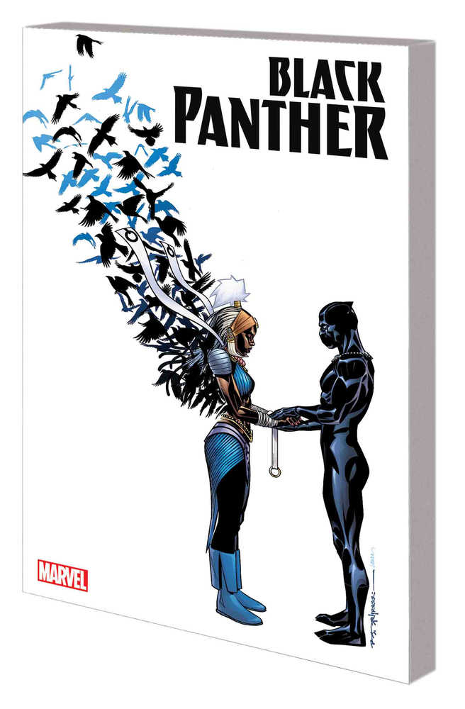 Black Panther TPB Book 03 Nation Under Our Feet (NM)