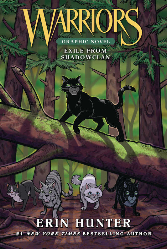 Warriors Exile From Shadowclan Softcover Graphic Novel (NM)