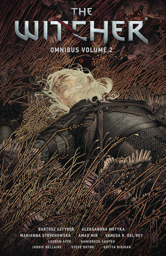 Witcher Omnibus TPB Volume 02 (NM)