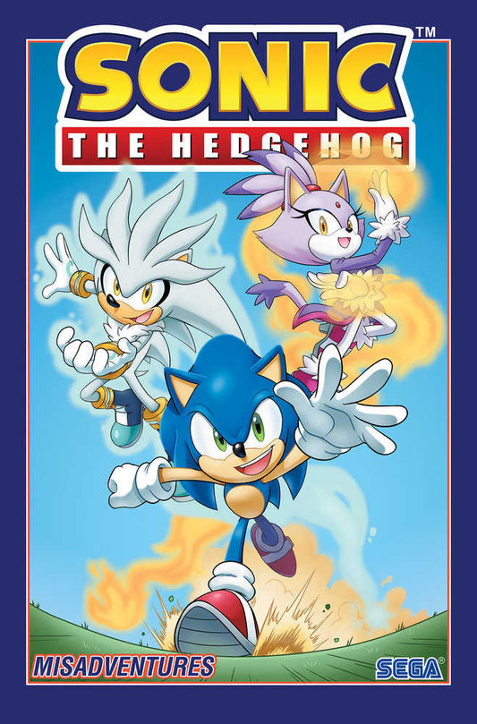 Sonic The Hedgehog, Volume. 16: Misadventures (NM)