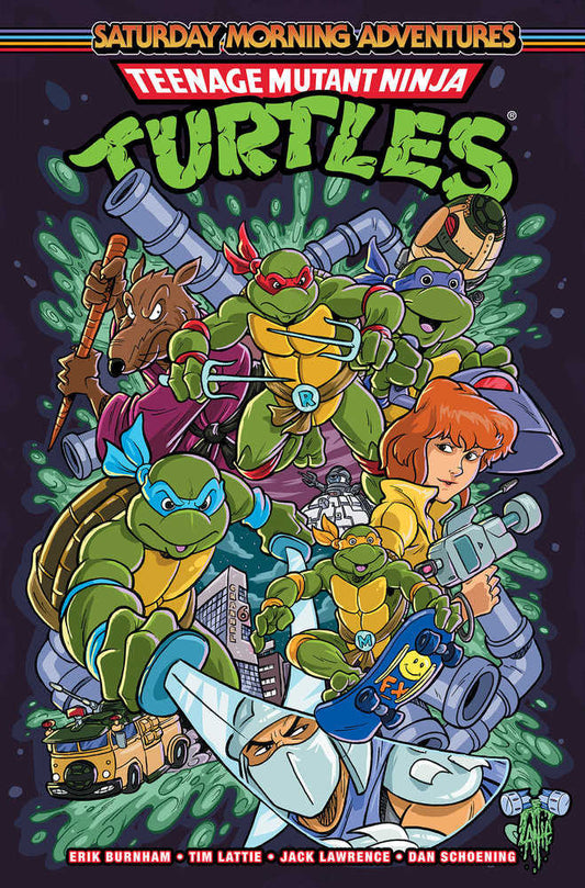 Teenage Mutant Ninja Turtles: Saturday Morning Adventures, Volume. 2 (NM)