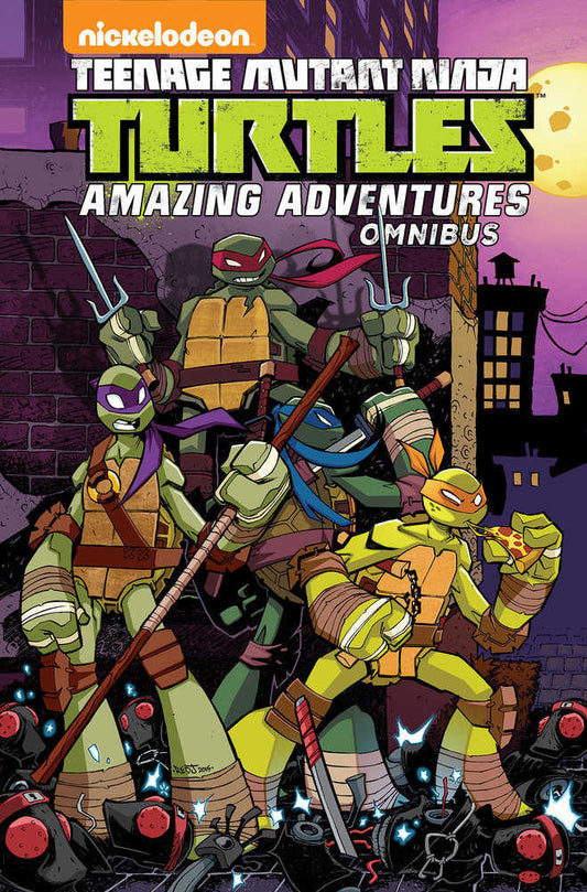 Teenage Mutant Ninja Turtles: Amazing Adventures Omnibus (NM)