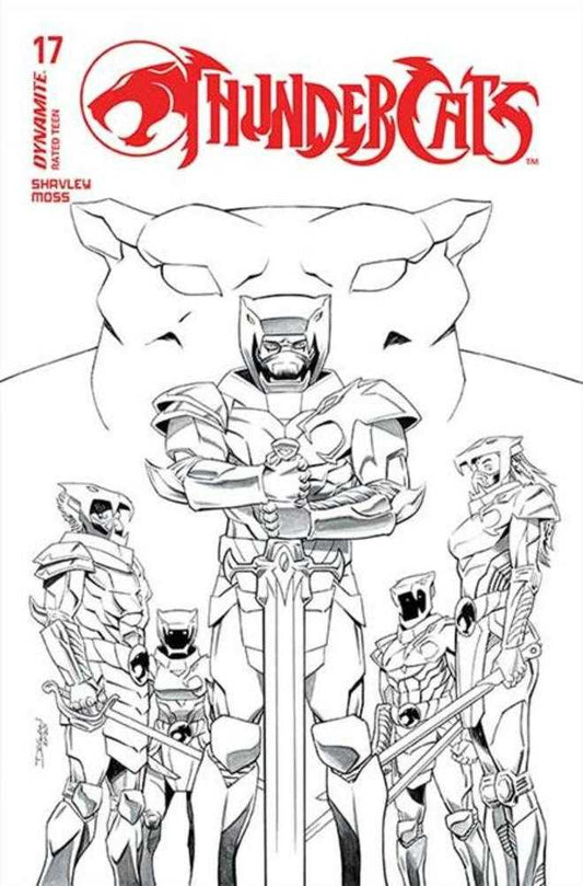 Thundercats #17 Cover N 1:10 Declan Shalvey Line Art Variant (NM)