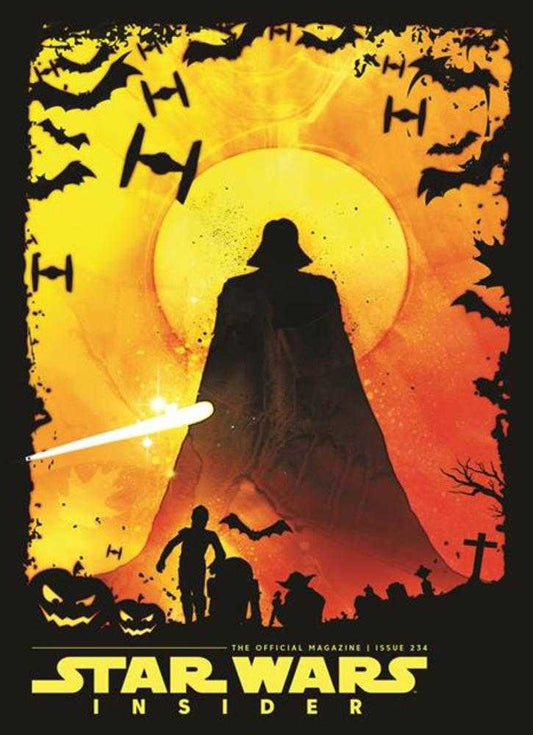 Star Wars Insider #234 Cover B Direct Market Edition Variant (VF)