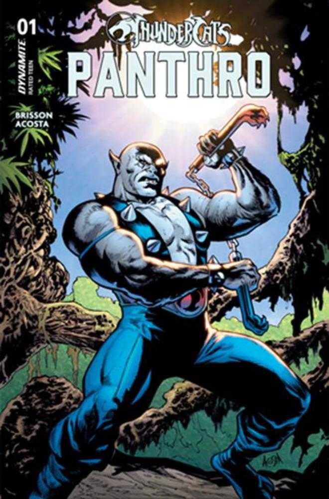 Thundercats Panthro #1 Cover A Dave Acosta (NM)