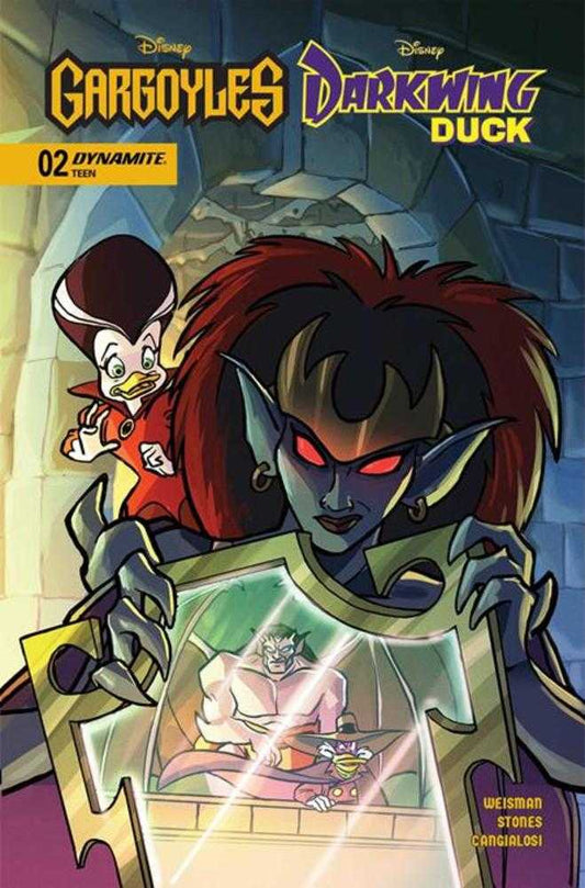 Gargoyles Darkwing Duck #2 Cover A Tad Stones (NM)