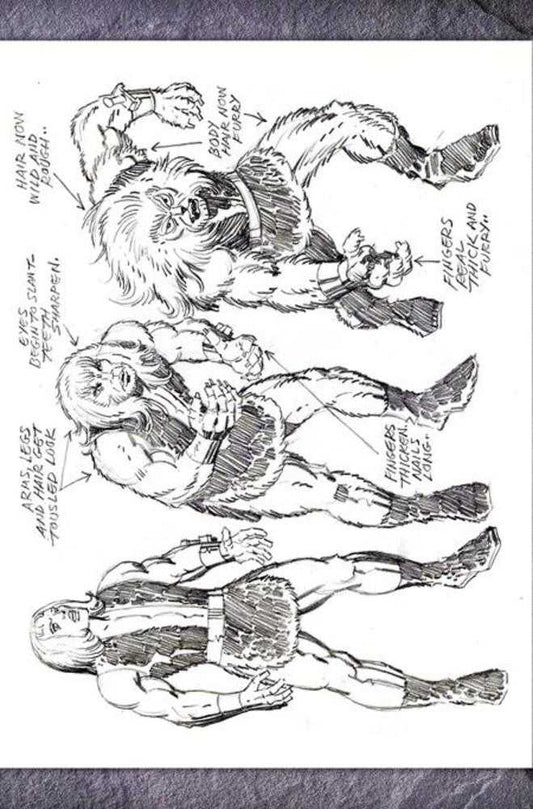 Thundarr The Barbarian #1 Cover U Inc 1:7 Jack Kirby Model Sheet Virgin Foc Bonus Variant (NM)
