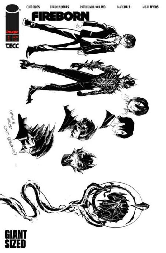 Fireborn #1 Cover F Inc 1:15 Patrick Mulholland Design Variant (NM)