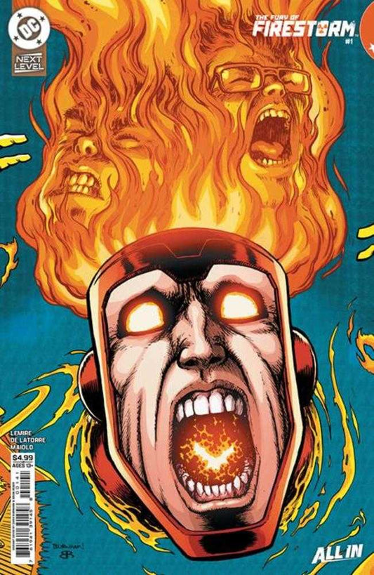Fury Of Firestorm #1 (Of 6) Cover C Chris Burnham Card Stock Variant (NM)