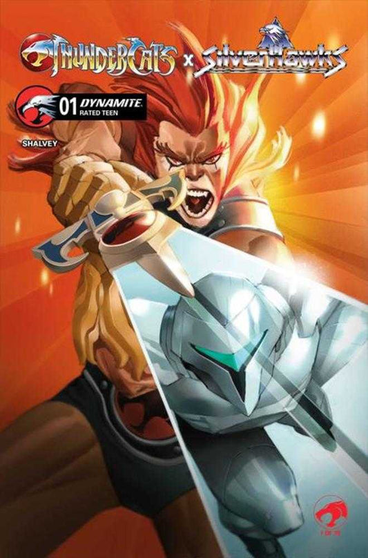 Thundercats X Silverhawks #1 Cover C Eric Canete Variant (NM)