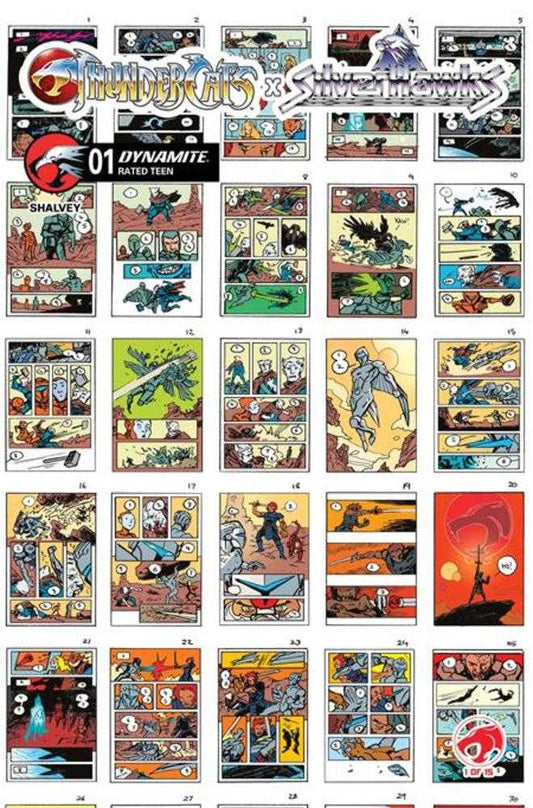Thundercats X Silverhawks #1 Cover I 1:10 Declan Shalvey Layouts Variant (NM)