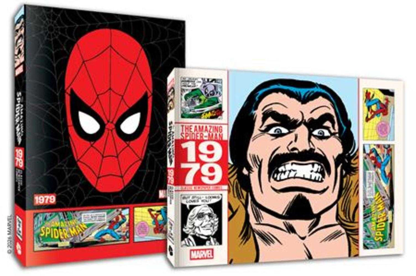 Amazing Spider-Man Classic Newspaper Comics TPB 1979 (NM)
