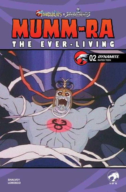 Mumm Ra The Ever Living #2 Cover E Animation Art Variant (NM)