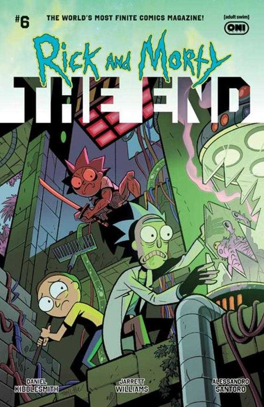 Rick And Morty The End #6 (Of 6) Cover B Troy Little Variant (NM)