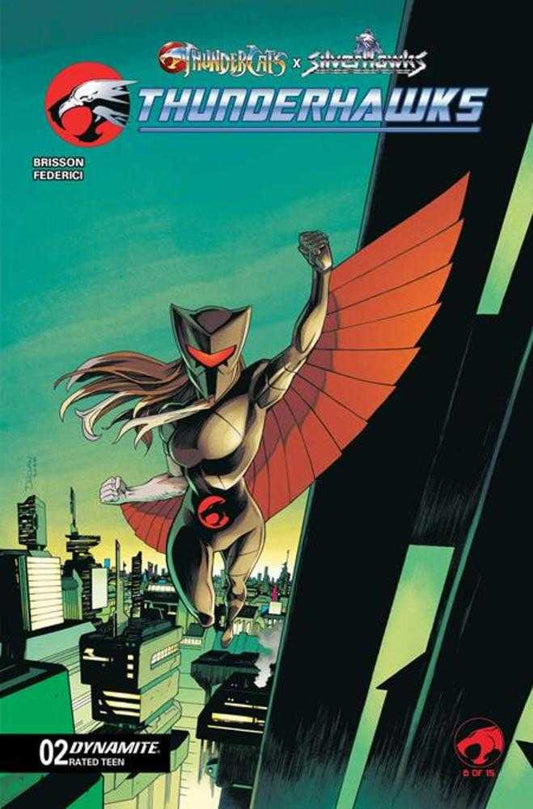 Thundercats X Silverhawks Thunderhawks #2 Cover B Declan Shalvey Variant (NM)