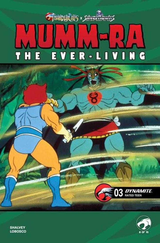 Mumm Ra The Ever Living #3 Cover E Animation Art Variant (NM)