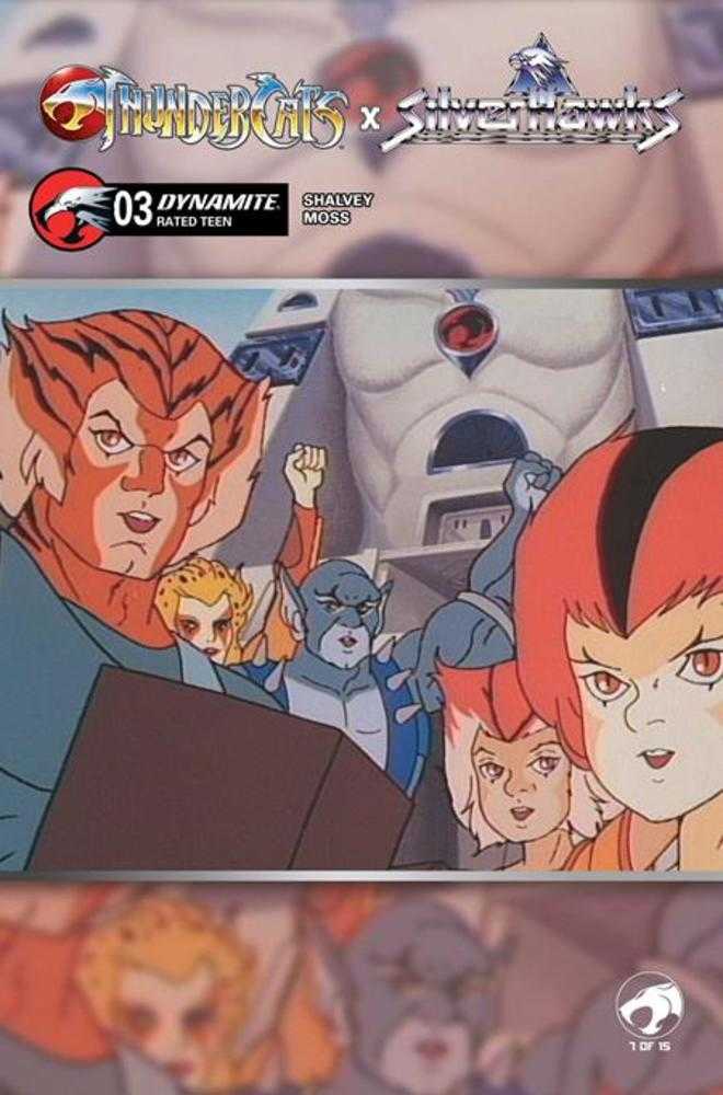 Thundercats X Silverhawks #3 Cover E Animation Art Variant (NM)