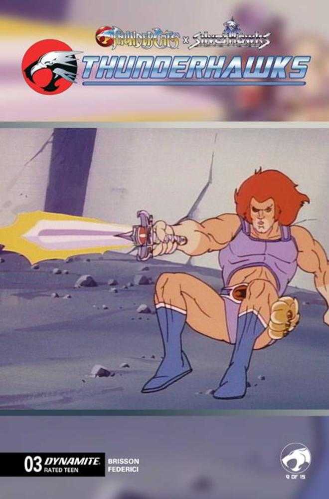 Thundercats X Silverhawks Thunderhawks #3 Cover E Animation Art Variant (NM)