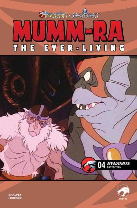 Mumm Ra The Ever Living #4 Cover E Animation Art Variant (NM)